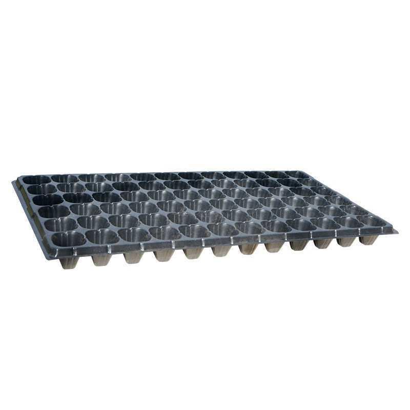Thickened Plastic Succulent Seedling Tray for Cultivation & Cutting