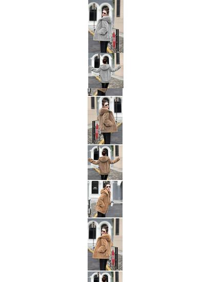 Flannel 2025 Korean Style Thick Hooded Women's Winter Loose Plush Long Sleeve Coat