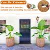 3Pcs Coconut Fibers Mulch Ring Tree Protector Mat Plant Cover Mulch Mat Weed Mats Coco Coir Mulch Ring for Indoor Outdoor Trees, Tree Plant Ring Mats