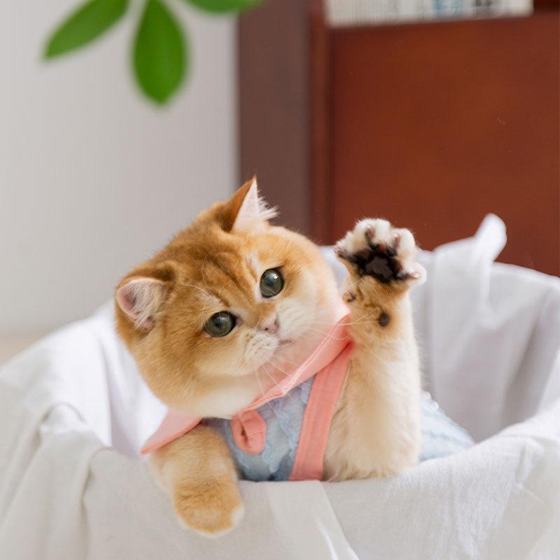 Pet Clothing Spring Summer Thin Breathable Vest Muppet Season Cat Teddy Bigbear Puppy Cat Dog Cat Clothing