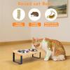 Stainless Steel Non-Slip Elevated Cat Bowls, 32 Oz Raised Pet Food Bowl Feeder With 15 Degree Tilt Dish