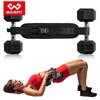 Weightlifting & Weighted Training Belt for Glute Bridge and Hip Thrust Assistance