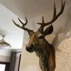 Woondecoratie – Beeldjes
