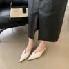 Women's Pointed Toe Kitten Heel Spring Outdoor Wear Slippers - Perfect for Daily Wear