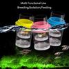 Shrimp Guppy Floating Fish Breeding Isolation Box Fish Hatchery Incubator Breeder Box  Fish Tank