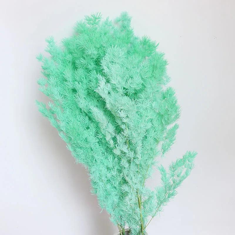 

100g High Quality Penglai Pine Dried Flowers Plant Nature Boho Decor Home Party DIY Eternel Reed Flower Bouquet Photography Prop 1 bunch тіффані синього кольору