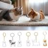 Transparent Dog Hair Collection Pendant Bichon Husky Corgi Portable Dog Hair Storage Capsule Gifts Dog Hair Storage Box