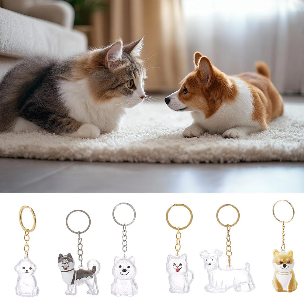 Transparent Dog Hair Collection Pendant Bichon Husky Corgi Portable Dog Hair Storage Capsule Gifts Dog Hair Storage Box