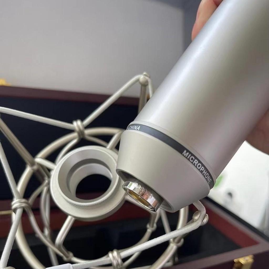 U87AI Large Diaphragm Condenser Wired Microphone - In Stock
