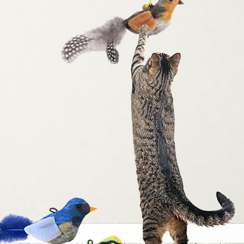Katzen Spatz Teaser Interaktives Kätzchenspielzeug Bewegung Unterhaltung Bewegungsspiel Katzen Interaktives Spiel Zwitschern