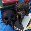 Pióro Ptak Dziób Orzeł Półtwarzowa Maska Cosplay Zwierzę Ptasi Pysk Skórzane Maski Halloween Karnawał Impreza Kostiumowe Rekwizyty