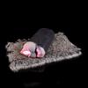 GEEBA Soft Plush Male Masturbation  Aircraft Cup for Men Sex Pussy Dog Dolls
