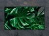 SZKLANA DESKA DO KROJENIA 52x30 MONSTERA