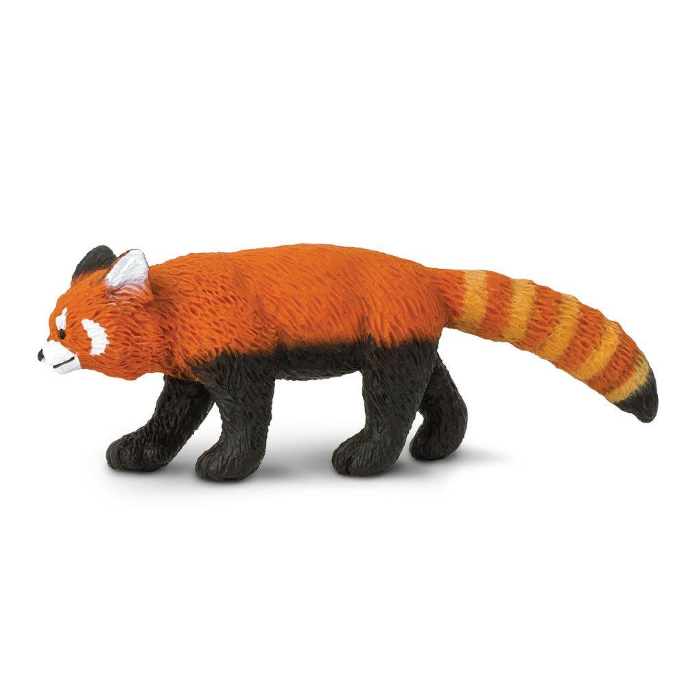 

Safari Wild Safari WildLife Red Panda 283429