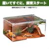 SESHIS Reptile Cage Box, Acrylic, Transparent, 20x15x10cm, Single Item