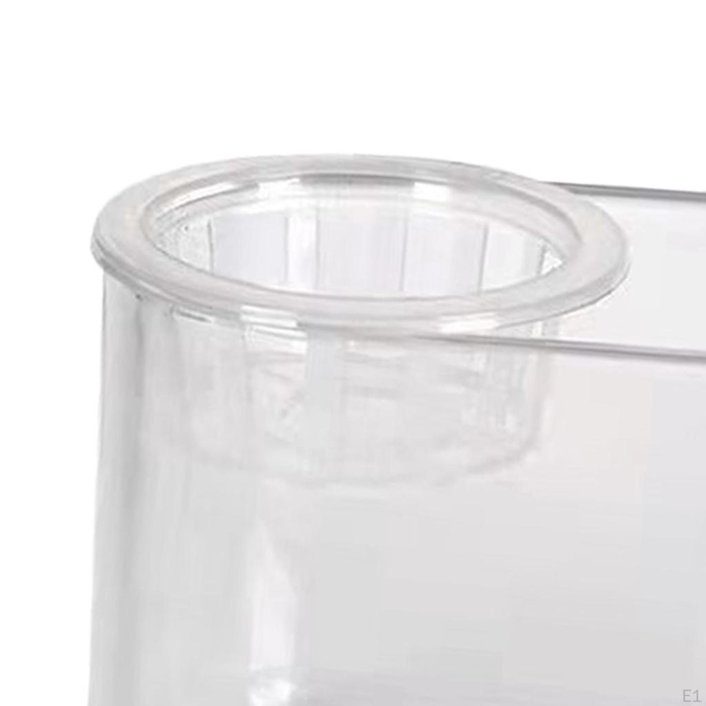 Aquaponic Tank Plant Growing System Cleaning Decoration Flower Arrangement Container Garden for