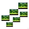 3D Aquarium Universal Landscape Poster Single Sided Fish Background , 61x30cm