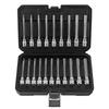 20-Piece Hex Socket Screwdriver Set with Extended Bits and Hex Wrench