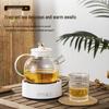 Shangqi Smart Glass Health Tea Kettle with Temperature Control