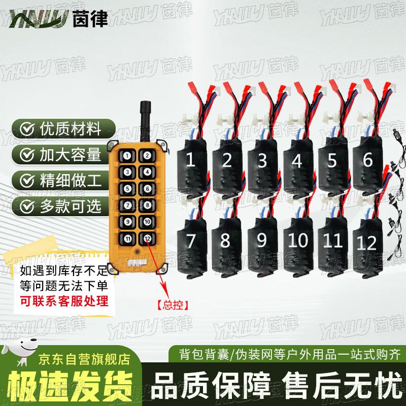Yin Lü Remote Control 12-Channel Rechargeable Igniter Set