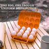 Household Egg Storage Box Multipurpose Eggs Protective Holder for Indoor Work