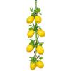 Simulación Fruta Artificial Limón Guirnalda para Restaurante Hotel Hogar Jardín Boda Decoración de Cocina Atrezzo Realista