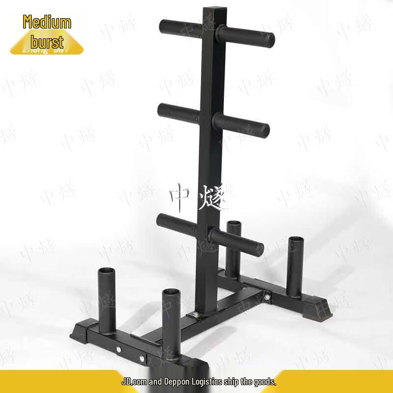 Gym Barbell Plate and Bar Storage Rack