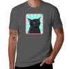 Blank stare cat TShirt Essential Solid Color TShirt