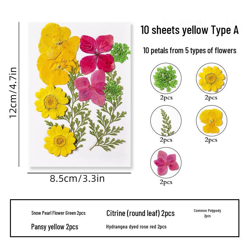 DIY Dried Flower Specimen Sticker Set for Kids: Handmade Pressed Flower Frames & Resin Bookmark Craft Kit
