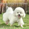**Self-Adhesive Pet Shoe Bandages: Anti-Scratch Bichon Leggings & Disposable Foot Wraps**