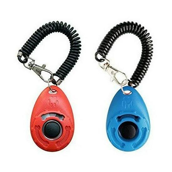 Oval Dog Training Clicker - Direct Sales Pet Trainer