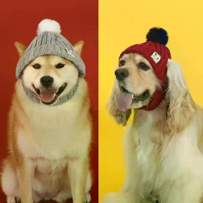 Chapeau Tricoté pour Chien d'Hiver Oreilles Découvertes Couvre-chef Coupe-vent Chaud Mode Bandeau pour Chat Automne Hiver Boule de Fourrure Accessoires de Déguisement pour Animaux