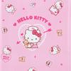 Sanrio PVC Hello Kitty Medication Notebook & Medical Examination Card Case 707988 with Zipper