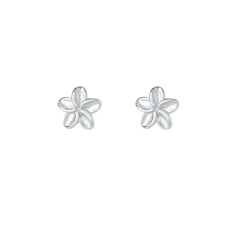 

SOFTPIG Real 925 Silver 5MM Flower Mini Stud Earrings for Women Classic Plant Fine Jewelry Ear Hole Care Accessories