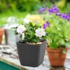 Self Watering Plant Pot with Water Level Indicator for Indoor Outdoor Sturdy