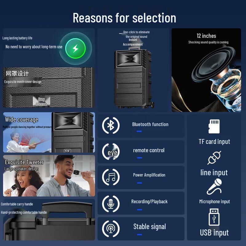 Suoai Portable High-Power Karaoke Speaker with Dual Microphones CN Plug (adapter Included)