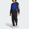 Adidas Originals Premiere Skate FW24 Fashion Loose Comfortable Sports Pants Men Pants Black IY1596