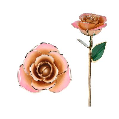 Rosa Blanco 24k Regalo Rosa Dorada Rosa Eterna de Tallo Largo Rosa Bañada Regalo Hecho a Mano