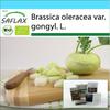 Gift Set - Organic - Turnip - Super Melt - 20 Seeds - With Gift Box, Card, Label and Potting Substrate - Brassica Oleracea