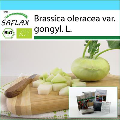 Set Regalo - Biologico - Rapa - Super Melt - 20 semi - Con confezione regalo, cartellino, etichetta e substrato per invasatura - Brassica oleracea