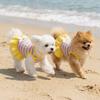 Ruffle Striped Dog Rainbow Striped Skirt Comfortable Dog Cooling Vest Dog Summer Vest  Casual Wear