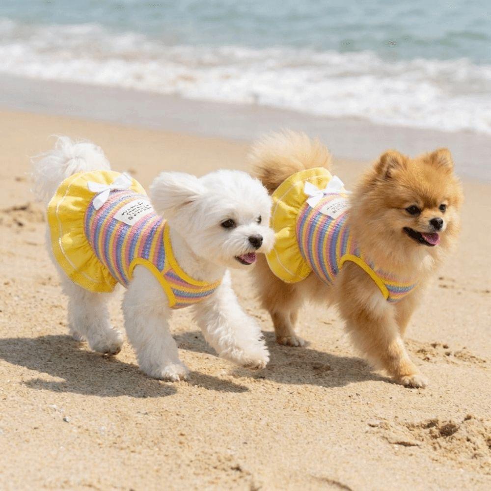 Ruffle Striped Dog Rainbow Striped Skirt Comfortable Dog Cooling Vest Dog Summer Vest Casual Wear