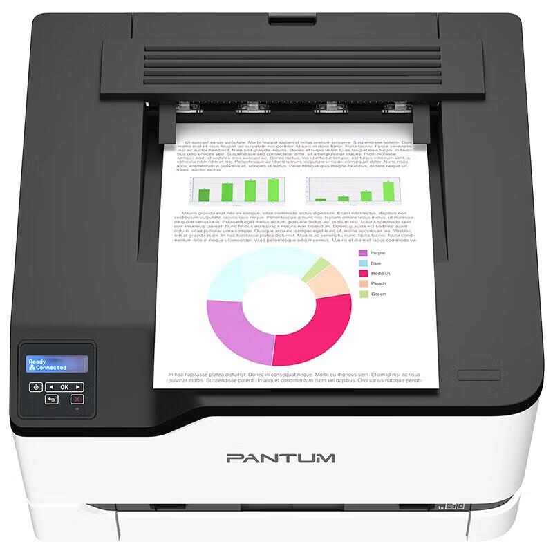 Pantum CP2200DN A4 Color Duplex Laser Printer CN plug (adapter included)