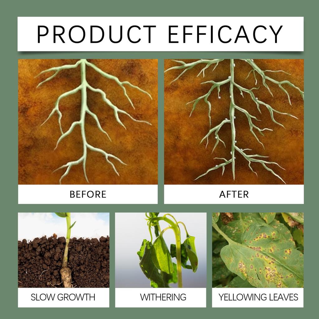 Rotpulver Plantenæring Nitrogen Fosfor Kalium Næringsstoffer
