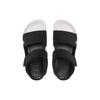 Adidas Adilette Sandal Black Core White Unisex Sneakers Core-Black HP3006