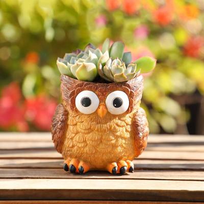 Cartoon Succulent Flowerpot Resin Hydroponic Flower Holder Owl Planter  Balcony