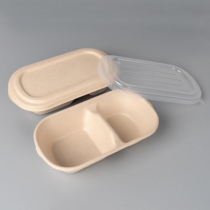 Disposable Food Storage Container