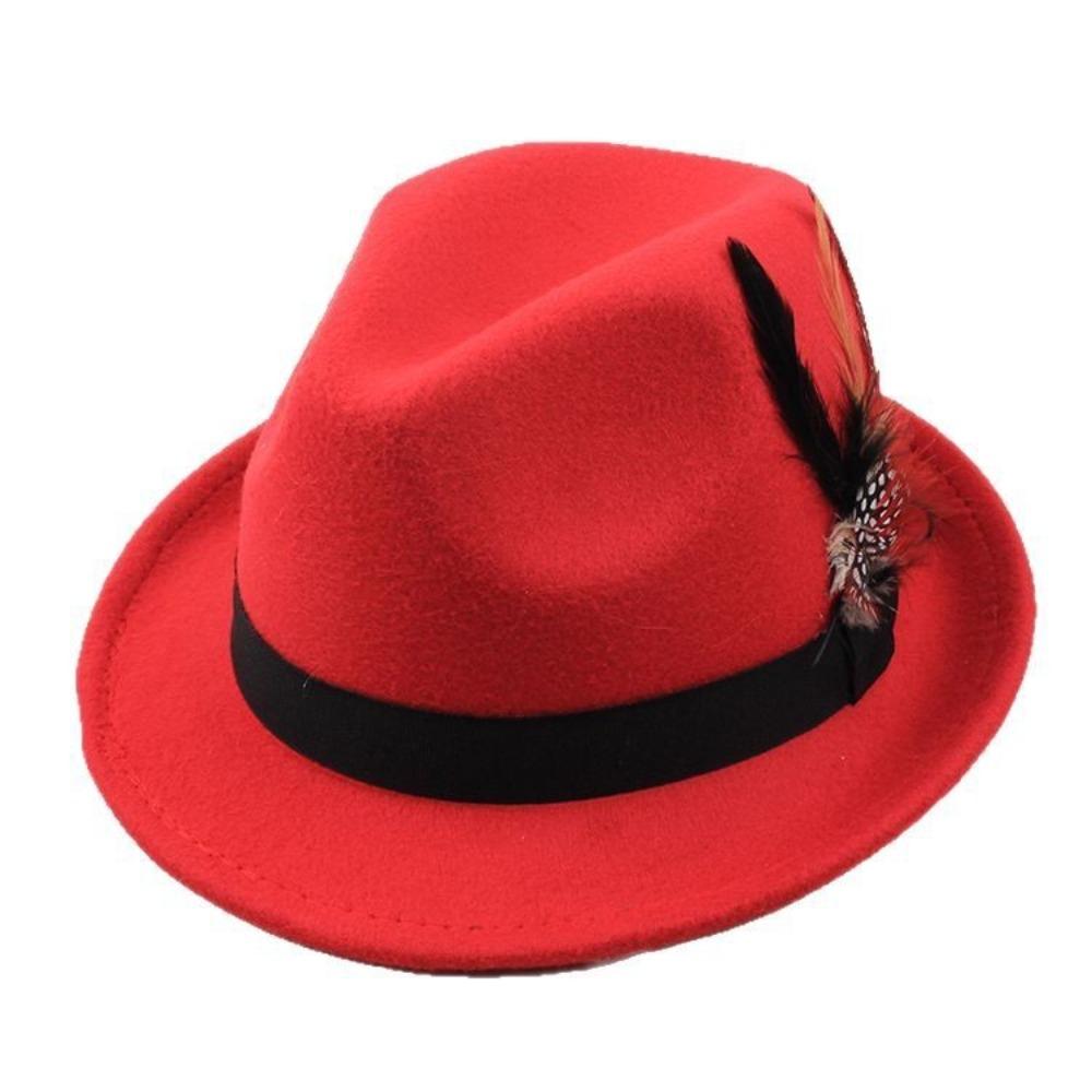 Panama Feather Decors Fedora Hat Fedora Hat Jazz Hat Casual Show Hats Stage Performance