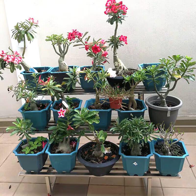 Stainless Steel Tiered Flower Pot Stand