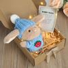 Mini-Häschen-Umarmung, Ostergeschenk, Plüsch-Kaninchenpuppe mit Strickmütze und Bommeltasche, emotionales Unterstützungstier mit Geschenkbox, inspirierende Karte